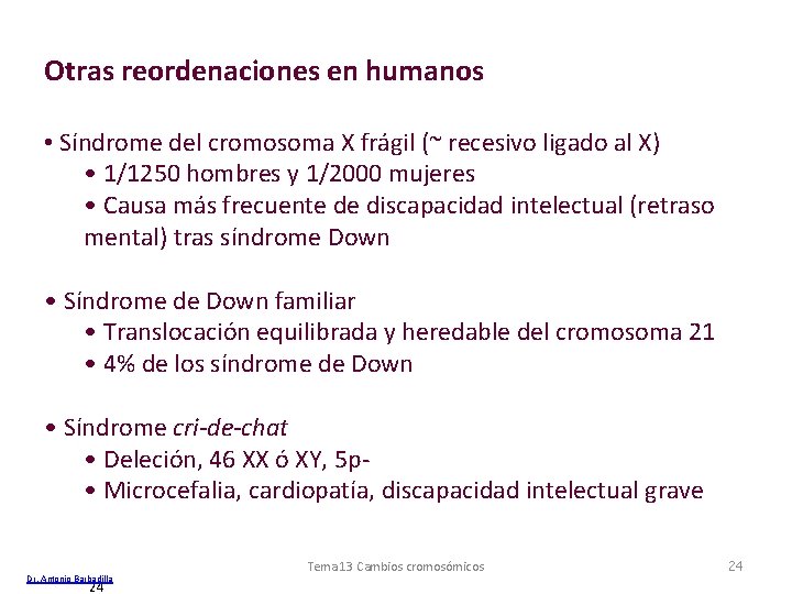 Otras reordenaciones en humanos • Síndrome del cromosoma X frágil (~ recesivo ligado al