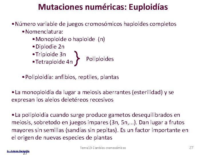 Mutaciones numéricas: Euploidías • Número variable de juegos cromosómicos haploides completos • Nomenclatura: •