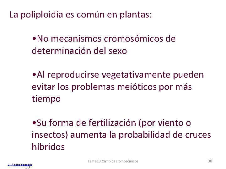 La poliploidía es común en plantas: • No mecanismos cromosómicos de determinación del sexo