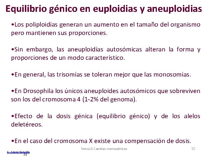 Equilibrio génico en euploidias y aneuploidias • Los poliploidías generan un aumento en el