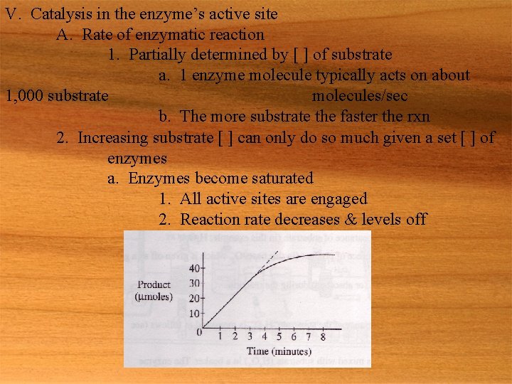 V. Catalysis in the enzyme’s active site A. Rate of enzymatic reaction 1. Partially