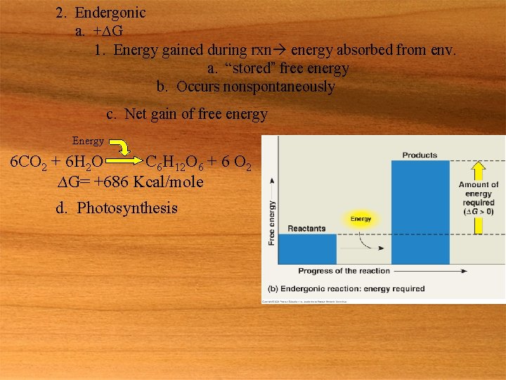 2. Endergonic a. +∆G 1. Energy gained during rxn energy absorbed from env. a.