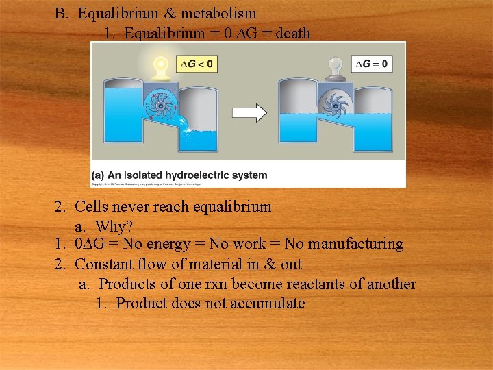 B. Equalibrium & metabolism 1. Equalibrium = 0 ∆G = death 2. Cells never