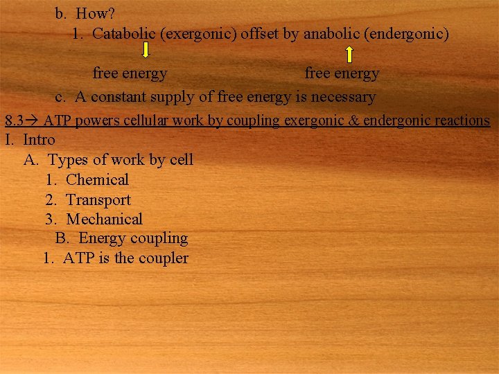 b. How? 1. Catabolic (exergonic) offset by anabolic (endergonic) free energy c. A constant