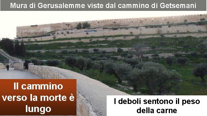 Mura di Gerusalemme viste dal cammino di Getsemani Il cammino verso la morte è