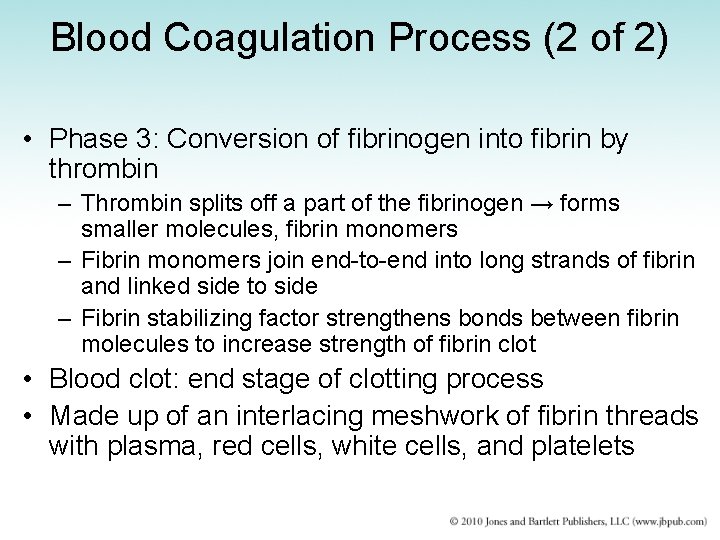 Blood Coagulation Process (2 of 2) • Phase 3: Conversion of fibrinogen into fibrin