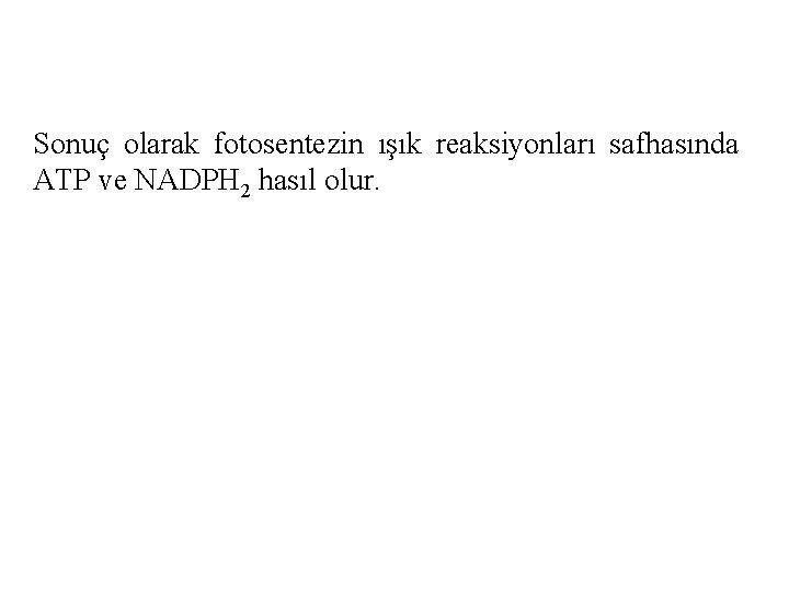 Sonuç olarak fotosentezin ışık reaksiyonları safhasında ATP ve NADPH 2 hasıl olur. 