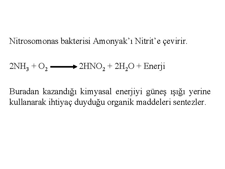 Nitrosomonas bakterisi Amonyak’ı Nitrit’e çevirir. 2 NH 3 + O 2 2 HNO 2