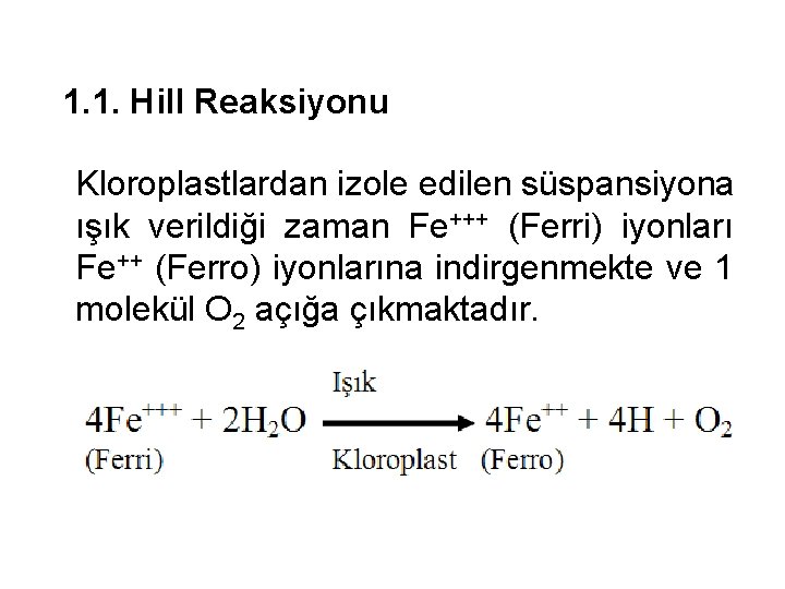 1. 1. Hill Reaksiyonu Kloroplastlardan izole edilen süspansiyona ışık verildiği zaman Fe+++ (Ferri) iyonları