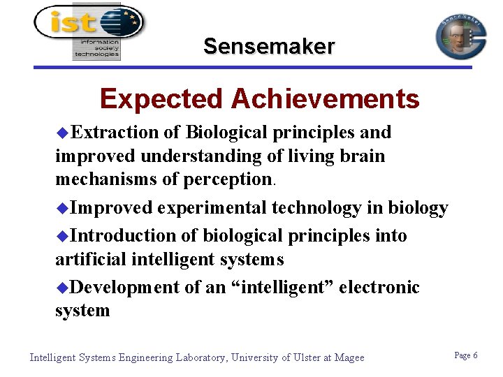 Sensemaker Expected Achievements u. Extraction of Biological principles and improved understanding of living brain