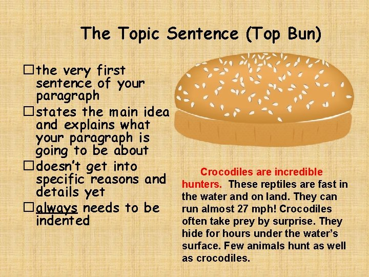 The Topic Sentence (Top Bun) �the very first sentence of your paragraph �states the