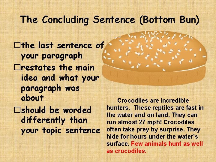 The Concluding Sentence (Bottom Bun) �the last sentence of your paragraph �restates the main