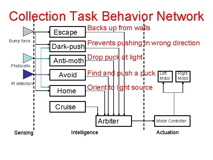 Collection Task Behavior Network Escape Bump force Photocells Backs up from walls Dark-push Prevents