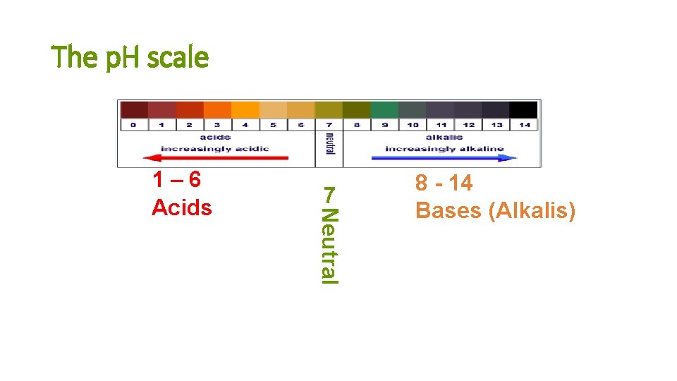 The p. H scale 7 Neutral 1– 6 Acids 8 - 14 Bases (Alkalis)