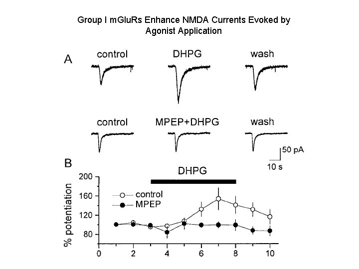 Group I m. Glu. Rs Enhance NMDA Currents Evoked by Agonist Application 