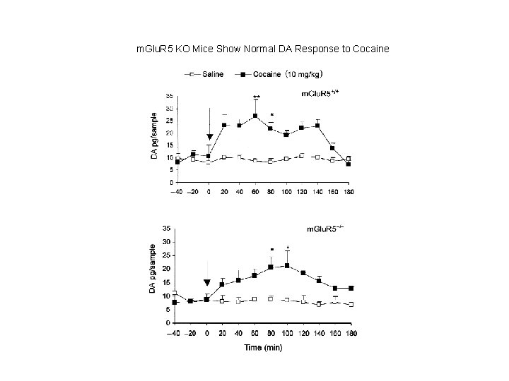 m. Glu. R 5 KO Mice Show Normal DA Response to Cocaine 