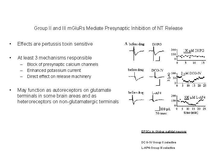 Group II and III m. Glu. Rs Mediate Presynaptic Inhibition of NT Release •