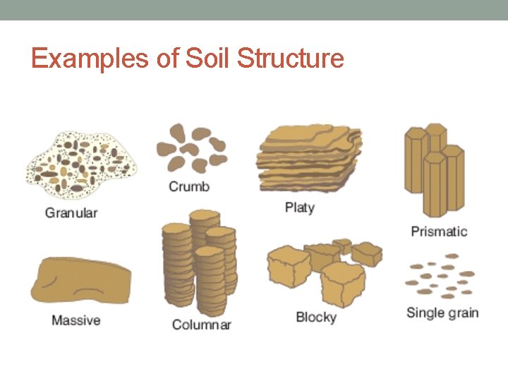 Examples of Soil Structure 