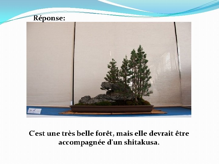 Réponse: C'est une très belle forêt, mais elle devrait être accompagnée d'un shitakusa. 