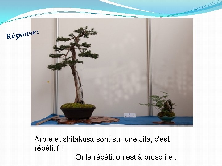 e: s n o p Ré Arbre et shitakusa sont sur une Jita, c'est