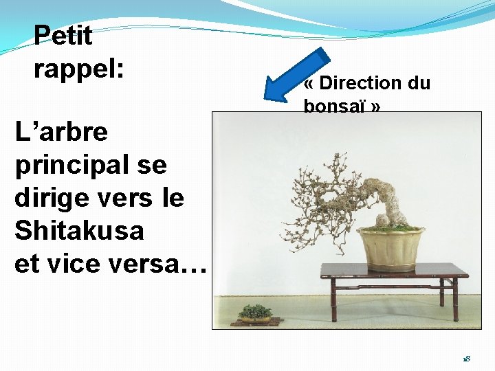 Petit rappel: L’arbre principal se dirige vers le Shitakusa et vice versa… « Direction