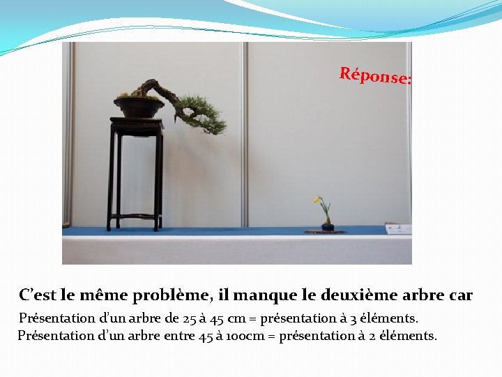 Réponse: C’est le même problème, il manque le deuxième arbre car Présentation d’un arbre