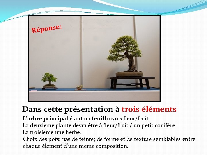 e: Répons Dans cette présentation à trois éléments L’arbre principal étant un feuillu sans