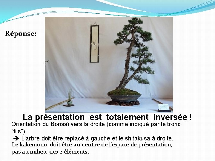 Réponse: La présentation est totalement inversée ! Orientation du Bonsaï vers la droite (comme