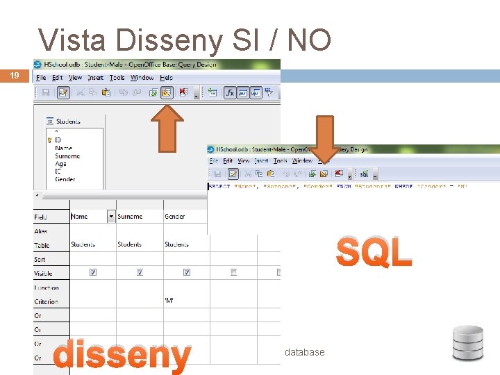 Vista Disseny SI / NO 19 … SQL disseny database 