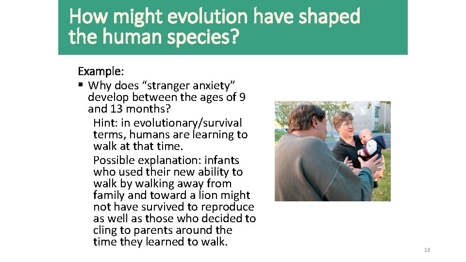 How might evolution have shaped the human species? Example: § Why does “stranger anxiety”
