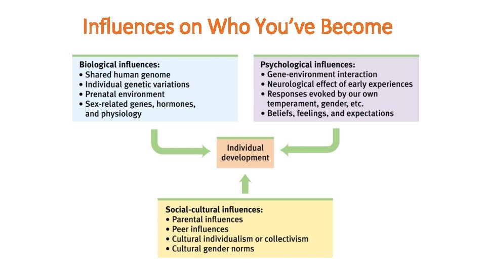 Influences on Who You’ve Become 
