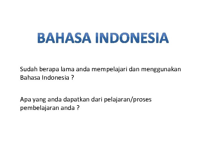 Sudah berapa lama anda mempelajari dan menggunakan Bahasa Indonesia ? Apa yang anda dapatkan