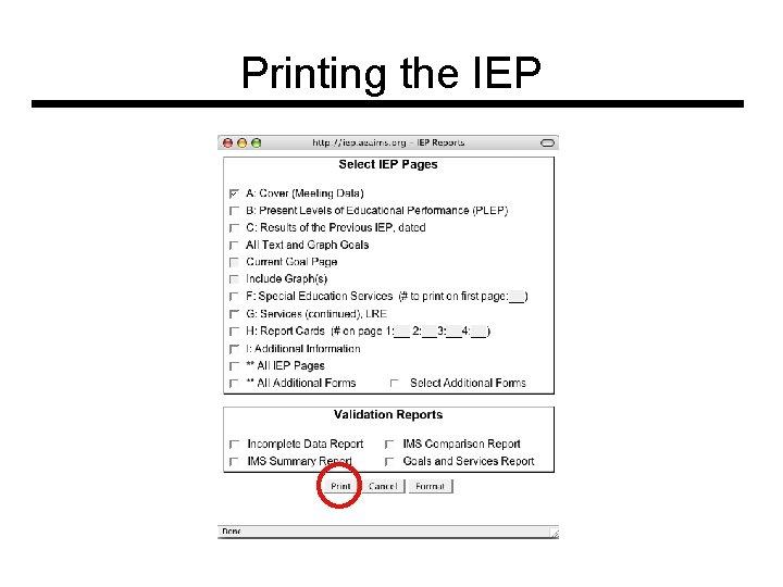 Printing the IEP 