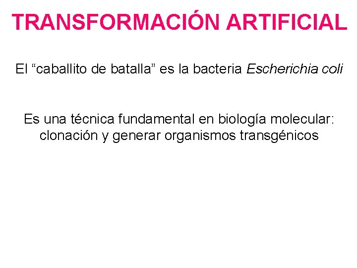 TRANSFORMACIÓN ARTIFICIAL El “caballito de batalla” es la bacteria Escherichia coli Es una técnica