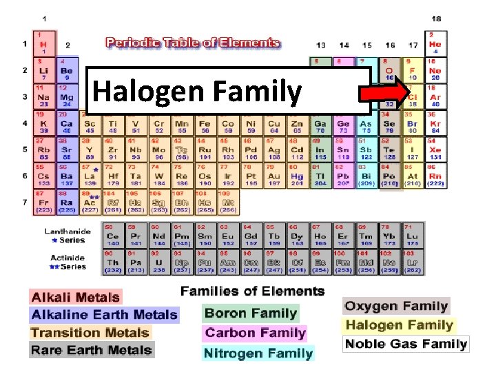 Halogen Family 