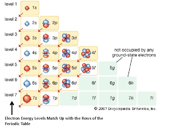 Electron Energy Levels Match Up with the Rows of the Periodic Table 