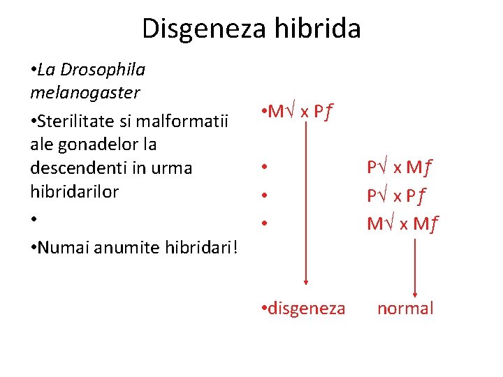 Disgeneza hibrida • La Drosophila melanogaster • Sterilitate si malformatii ale gonadelor la descendenti