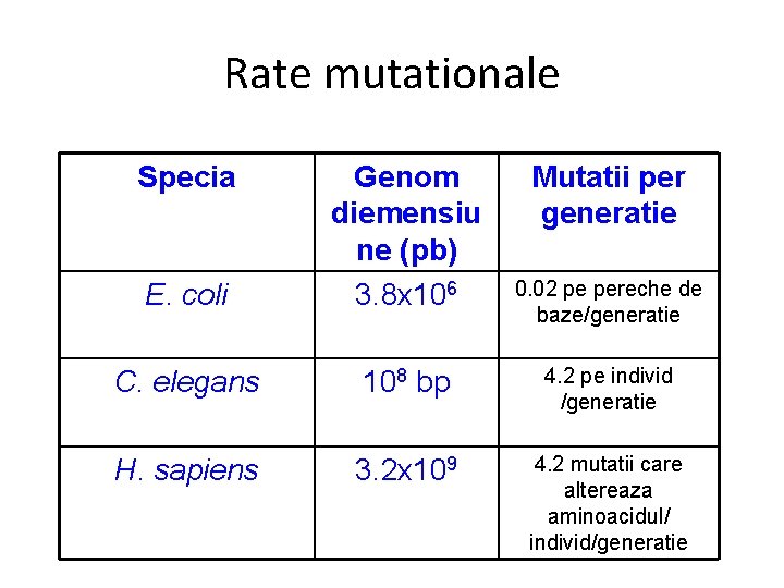 Rate mutationale Specia E. coli Genom diemensiu ne (pb) 3. 8 x 106 Mutatii