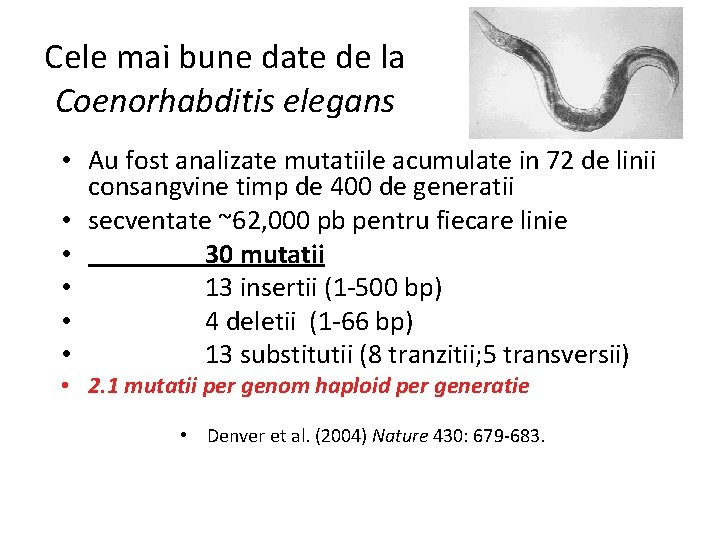 Cele mai bune date de la Coenorhabditis elegans • Au fost analizate mutatiile acumulate