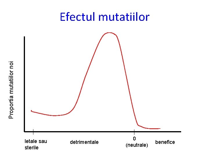 Proportia mutatiilor noi Efectul mutatiilor letale sau sterile detrimentale 0 (neutrale) benefice 