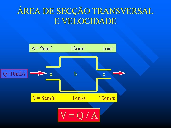 ÁREA DE SECÇÃO TRANSVERSAL E VELOCIDADE A= 2 cm 2 Q=10 ml/s a V=