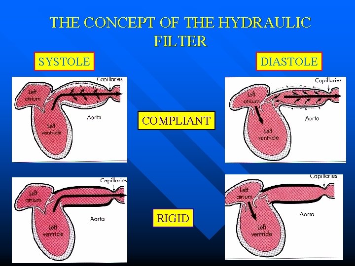 THE CONCEPT OF THE HYDRAULIC FILTER SYSTOLE DIASTOLE COMPLIANT RIGID 