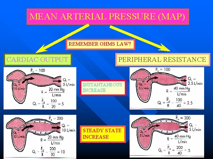 MEAN ARTERIAL PRESSURE (MAP) REMEMBER OHMS LAW? CARDIAC OUTPUT PERIPHERAL RESISTANCE INSTANTANEOUS INCREASE STEADY