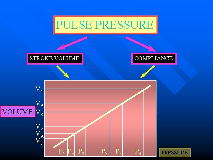 PULSE PRESSURE STROKE VOLUME COMPLIANCE V 4 VB VOLUME V 3 V 2 VA