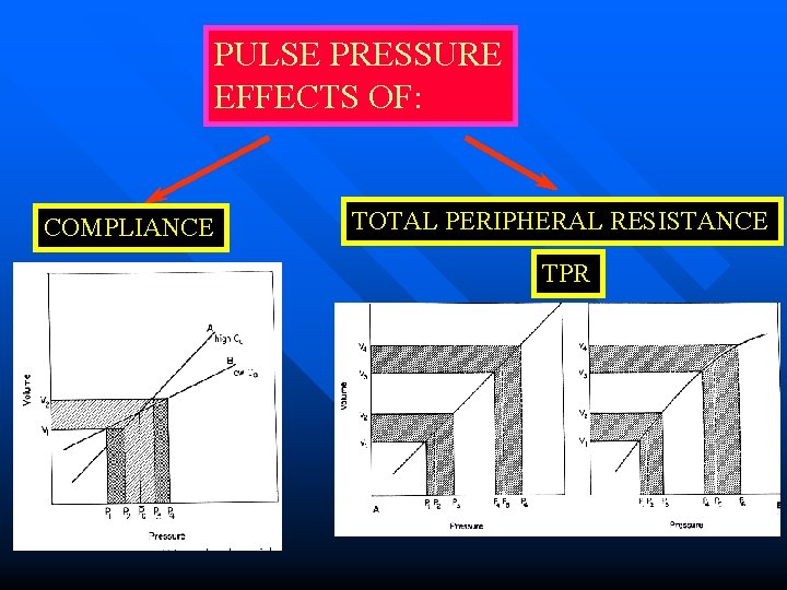 PULSE PRESSURE EFFECTS OF: COMPLIANCE TOTAL PERIPHERAL RESISTANCE TPR 