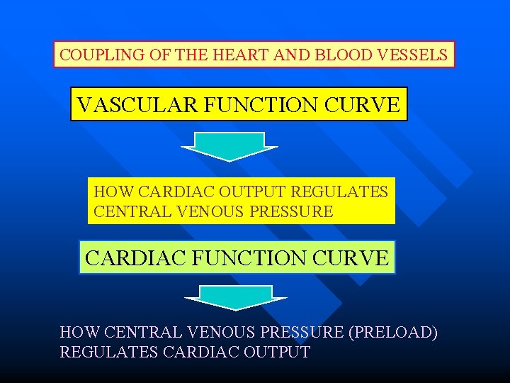 COUPLING OF THE HEART AND BLOOD VESSELS VASCULAR FUNCTION CURVE HOW CARDIAC OUTPUT REGULATES