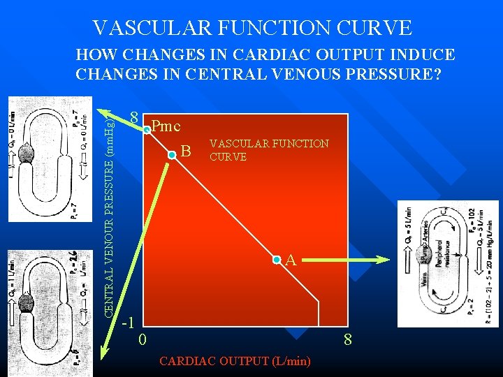VASCULAR FUNCTION CURVE CENTRAL VENOUR PRESSURE (mm. Hg) HOW CHANGES IN CARDIAC OUTPUT INDUCE