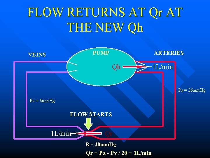 FLOW RETURNS AT Qr AT THE NEW Qh PUMP VEINS ARTERIES Qh 1 L/min