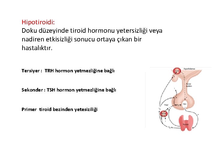 Hipotiroidi: Doku düzeyinde tiroid hormonu yetersizliği veya nadiren etkisizliği sonucu ortaya çıkan bir hastalıktır.