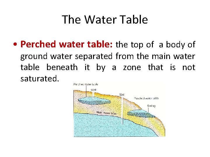 The Water Table • Perched water table: the top of a body of ground